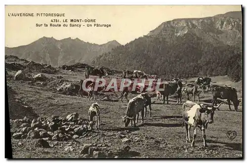 Cartes postales Le Mont Dore Sur La Route du Sancy Un Paturage Vaches