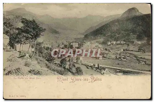 Cartes postales Le Mont Dore La vallee du Mont Dore