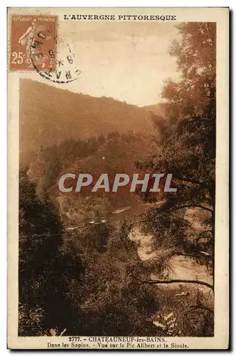 Cartes postales L Auvergne Chateauneuf les Bains Dans les sapins Vue sur le pic Alibert et la Sioule