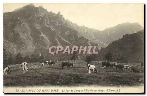 Cartes postales Environs Du Mont Dore Le Puy de Sancy et L Entree des gorges d enfer Vaches