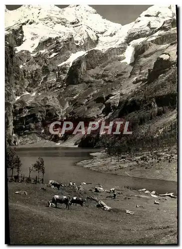 Cartes postales moderne Am Oeschinensee mit Blumlisalp