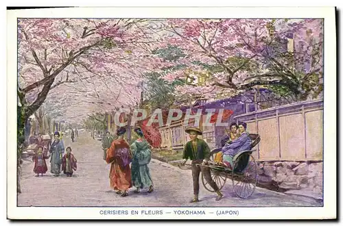 Cartes postales Cerisiers en Fleurs Yokohama Japon Nippon