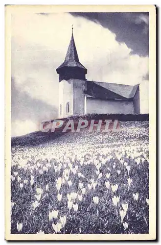 Cartes postales Bergkirchlein Mit Krokuswiese