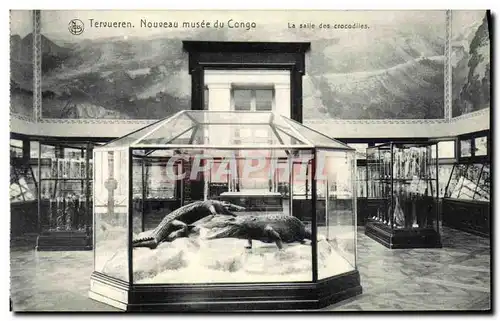 Cartes postales Tervueren Nouveau Musee du Congo La salle des crocodiles