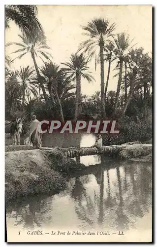 Ansichtskarte AK Gabes Le Pont de Palmier dans L Oasis