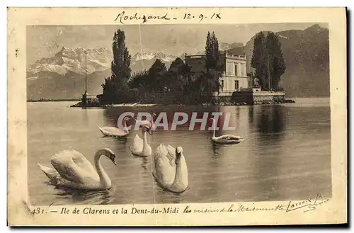 Ansichtskarte AK Ile de Clarens et la Dent Du Midi Cygnes