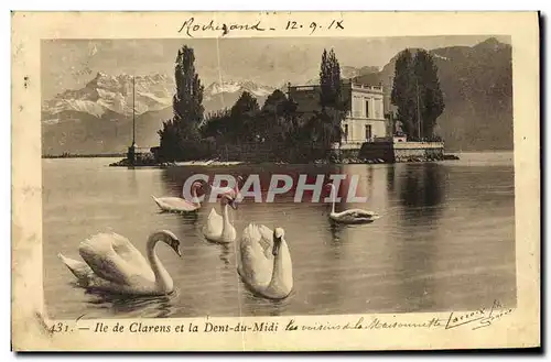 Cartes postales Ile de Clarens et la Dent Du Midi Cygnes