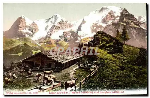 Ansichtskarte AK Eiger Monch und Jungfrau Vaches