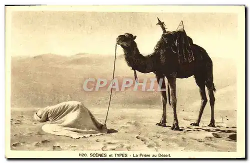 Cartes postales Scenes et Types La Priere au Desert Chameau