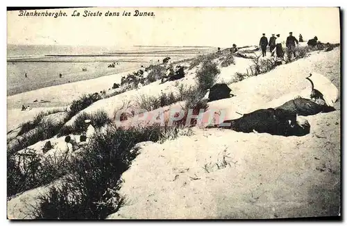 Ansichtskarte AK Blankenberghe La Sieste dans les Dunes