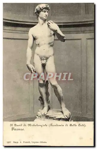 Cartes postales H David di Michelangiolo Firenze