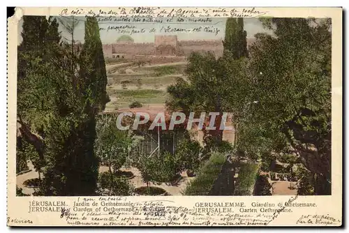 Ansichtskarte AK Jerusalem Jardin de Gethsemanie