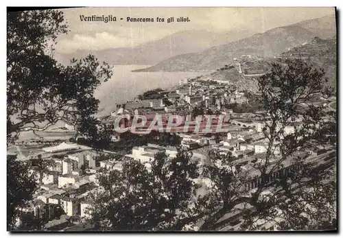 Cartes postales Ventimiglia Panorama Fra Gli Ullivi