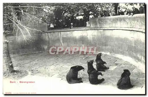 Cartes postales Bern Barengraben ours Zoo