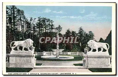 Cartes postales Gould s Gergian Court Lakewood the lions at Geo J Gould s