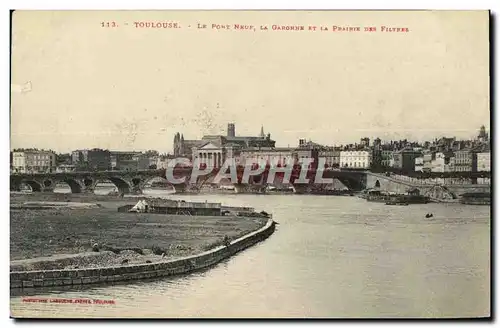 Cartes postales Toulouse Le Pont La Garonne Et La Prairie des filtres