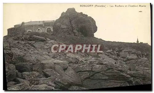 Cartes postales Roscoff Les Rochers et l Institut Marin