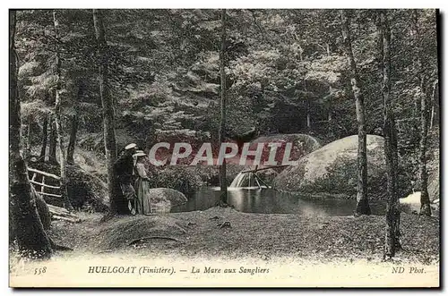 Ansichtskarte AK Huelgoat La Mare aux Sangliers