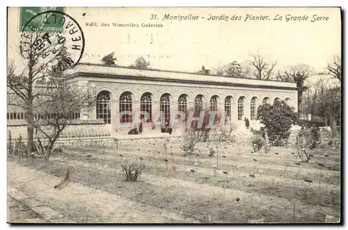 Ansichtskarte AK Montpellier Jardin des Plantes La Grande serre