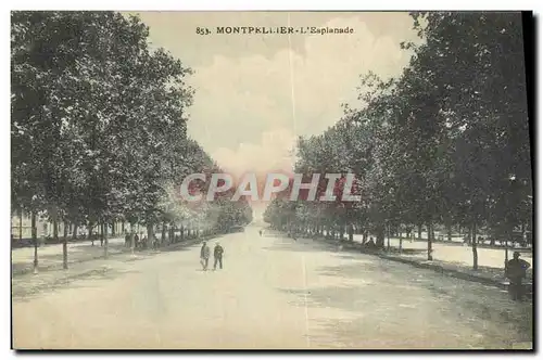 Cartes postales Montpellier L Esplanade