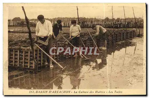 Ansichtskarte AK Cote D Argent Arcachon La Culture des Huitres Les Tuiles Ostreiculture