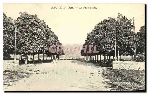 Cartes postales Mauvezin La Promenade