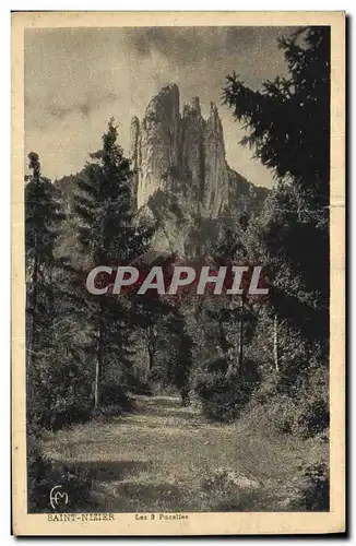 Cartes postales Saint Nizier Les Pucelles