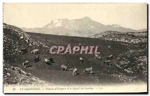 Cartes postales Plateau d Emperis et le Signal du Gauleon Vaches