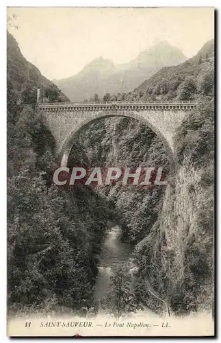 Cartes postales Saint Sauveur Le Pont Napoleon