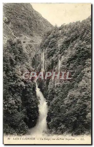 Cartes postales Saint Sauveur La Gorge vue du Pont Napoleon