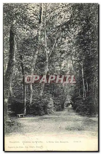 Cartes postales Dauphine Chateau de Vizille L Allee des Soupirs