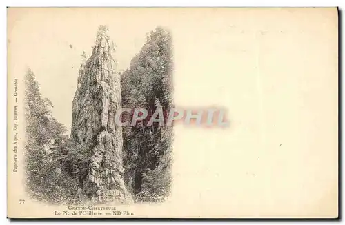 Cartes postales Grande Chartreuse Le Pic de l oeillette