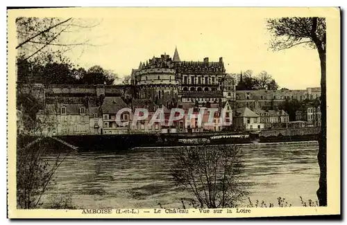 Cartes postales Amboise Le Chateau Vue sur la Loire