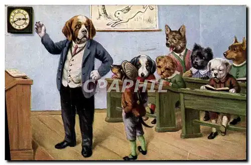 Cartes postales Ecole de chiens Lapin