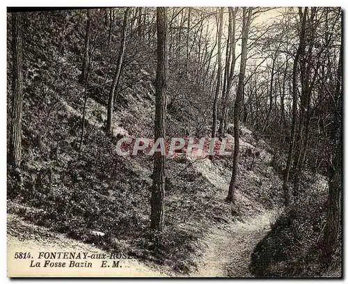 Ansichtskarte AK Fontenay aux Roses La Fosse Bazin