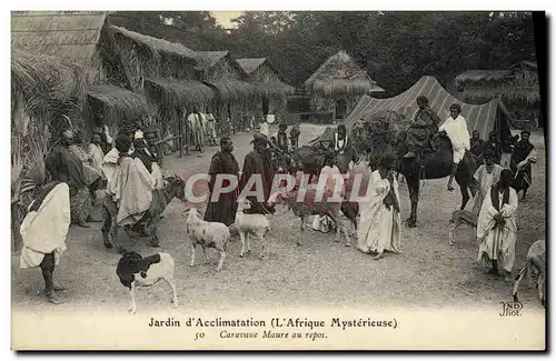 Cartes postales Jardin d Acclimatation Caravane Maure au repos L afrique mysterieuse TOP Mouton Chameau Zoo Chev