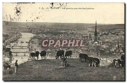 Ansichtskarte AK Rouen Vue Generale Prise Cote Ste Catherine Vaches