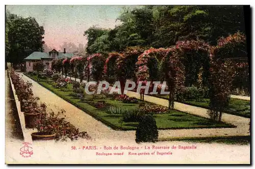 Cartes postales Paris Bois de Boulogne La Roseraie de Bagatelle