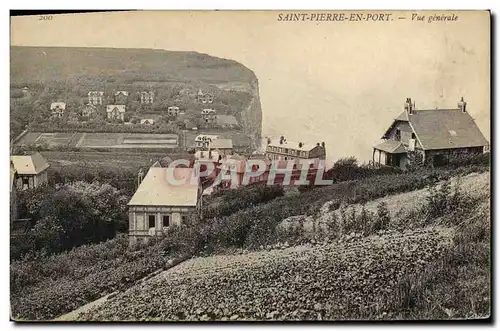 Cartes postales Saint Pierre en Port Vue generale