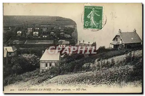 Cartes postales Saint Pierre en Port Vue generale