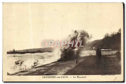 Cartes postales Caudebec en Caux Le Mascaret