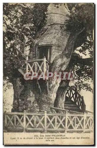 Cartes postales Allouville Gros Chene Arbre