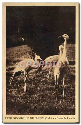 Cartes postales Parc Zoologique De Cleres Grues de paradis Zoo