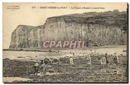 Cartes postales Saint Pierre en Port La Falaise D Amont a maree basse Enfants