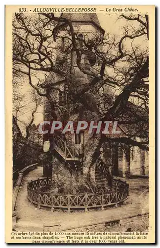 Cartes postales Allouville Bellefosse Le Gros Chene Arbre