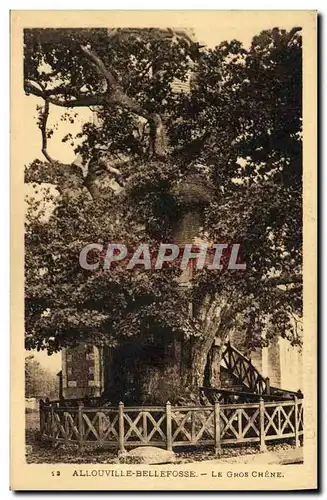 Cartes postales Allouville Bellefosse Le Gros Chene Arbre