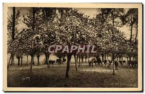 Cartes postales Le clos SAint Marc sur la route de Rouen a Grand Couronne Vaches