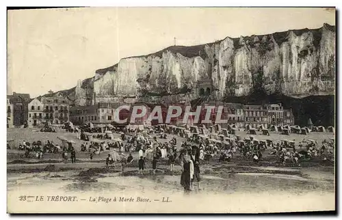 Cartes postales Le Treport La Plage a Maree Basse