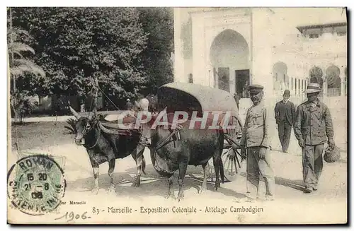 Cartes postales Marseille Exposition Coloniale Attelage Cambodgien Top Boeufs Cambodge