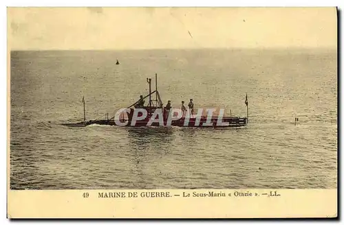 Cartes postales moderne Bateau Guerre Sous marin Otarie